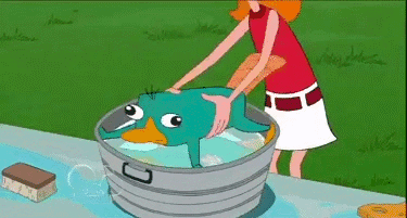 Perry Platypus Bath GIF - Phineas and Ferb