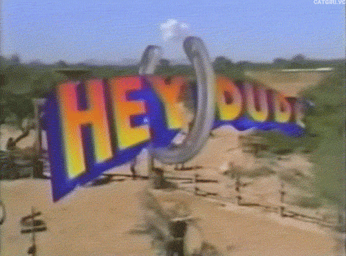 Hey Dude - The Splat