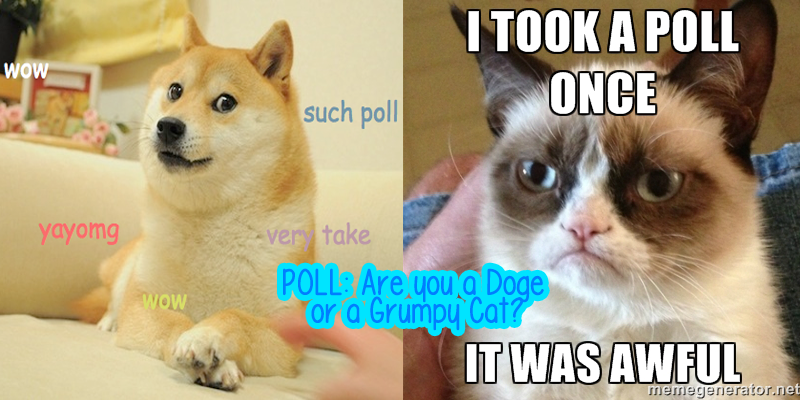 Poll Are You A Doge Or A Grumpy Cat Yayomg