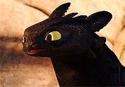 Toothless GIFs - HTTYD