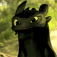Toothless GIFs - HTTYD