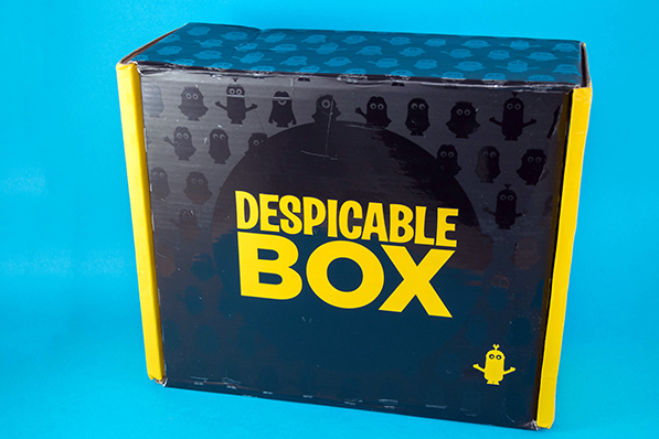 Despicable Box - CultureFly