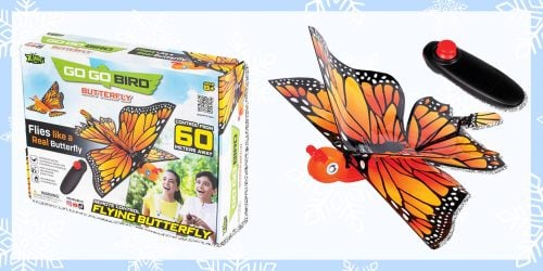 Holly Jolly Giveaway: ZING Go Go Bird Butterfly and Dragon