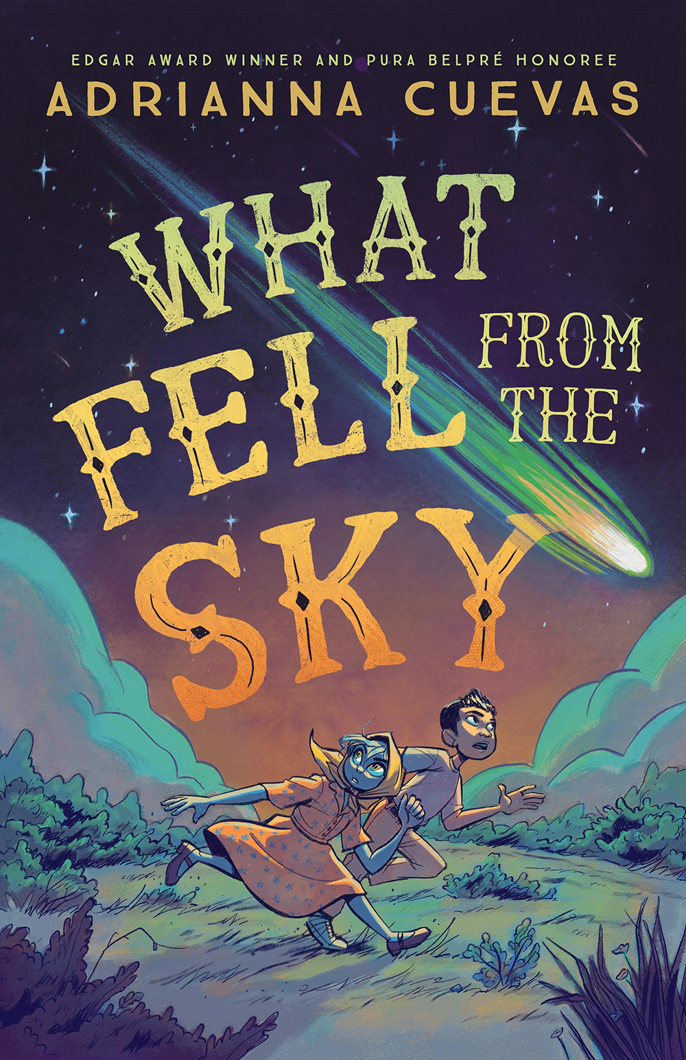 Book cover for What Fell From the Sky by Adrianna Cuevas