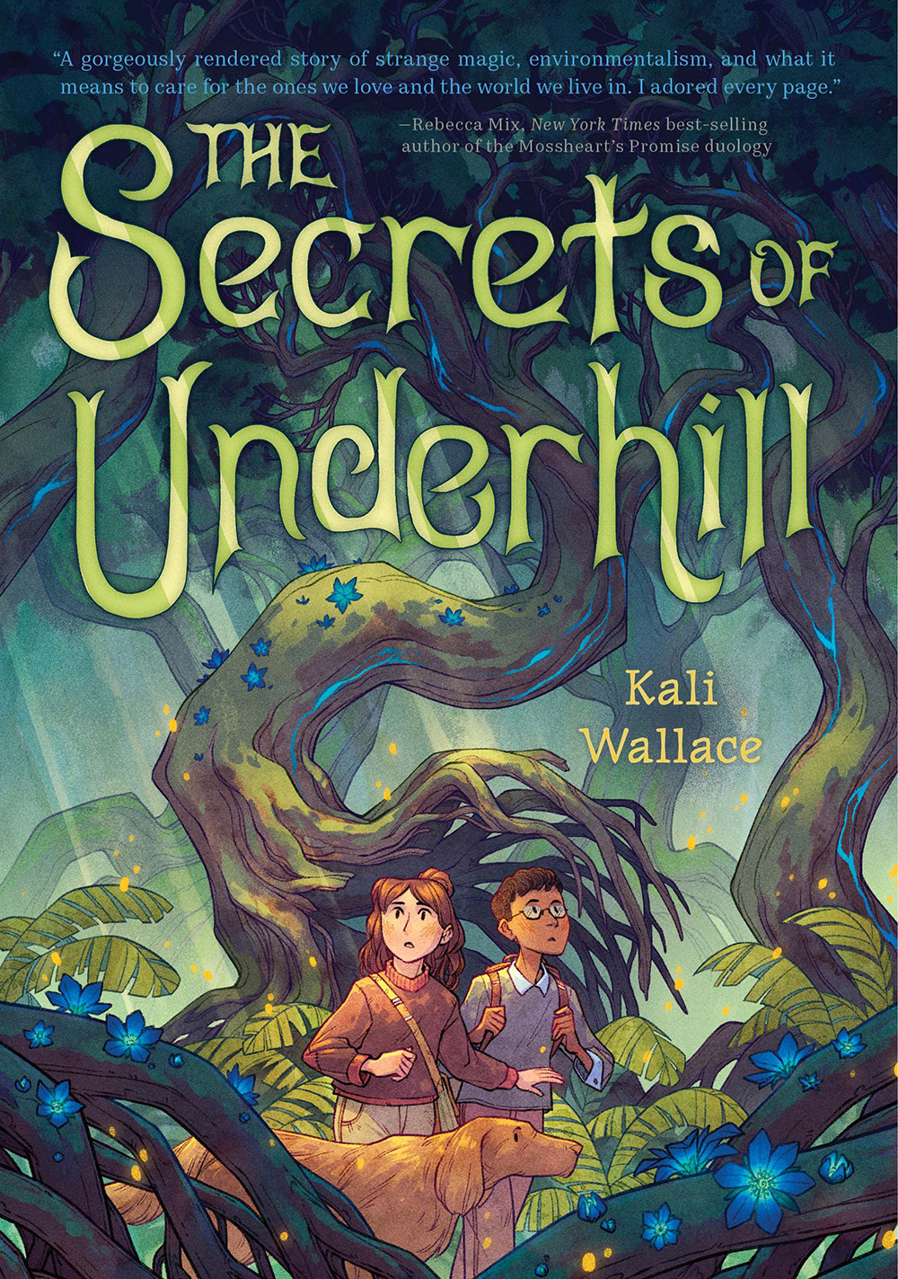 Book cover for The Secrets of Underhill by Kali Wallace