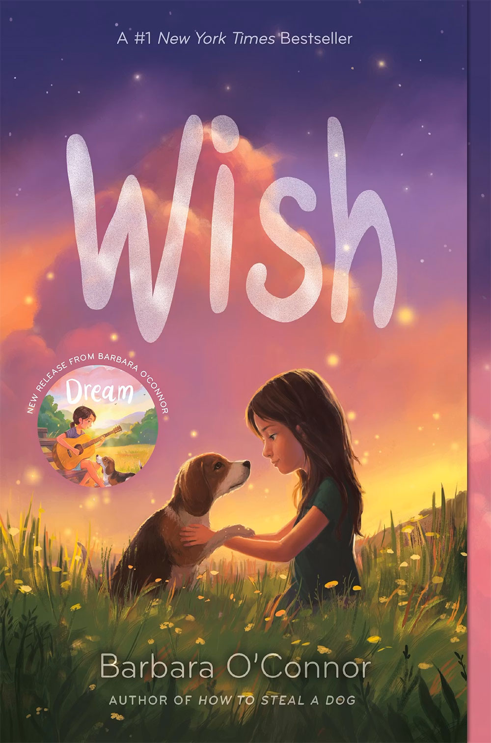 Book cover for Wish by Barbara O'Connor