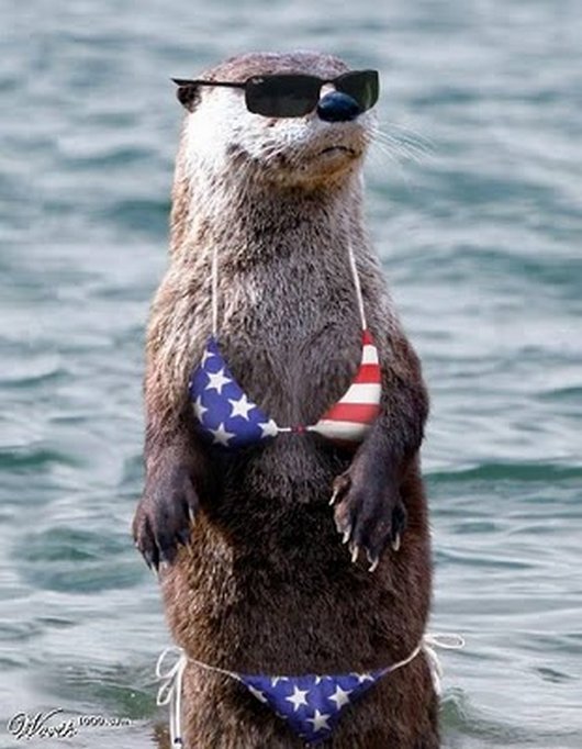 Patriotic Otter - 4th of July